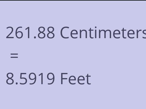 261.88 CM TO FEET