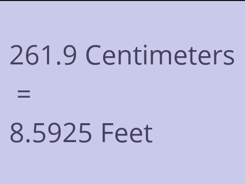 261.9 CM TO FEET