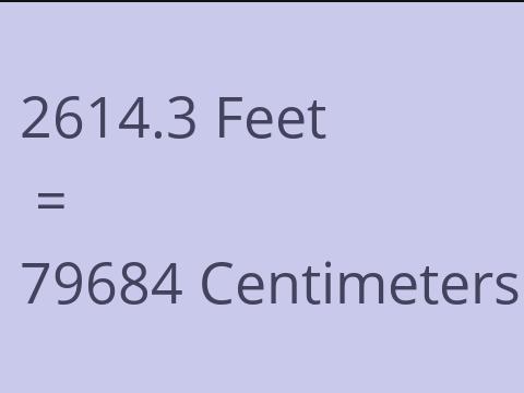 2614.3 FEET TO CM