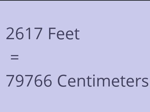 2617 FEET TO CM