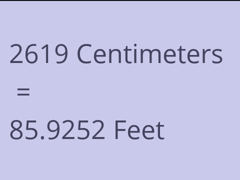 2619 CM TO FEET