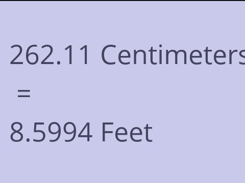 262.11 CM TO FEET