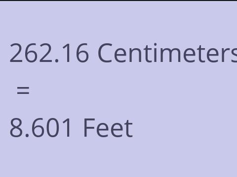 262.16 CM TO FEET