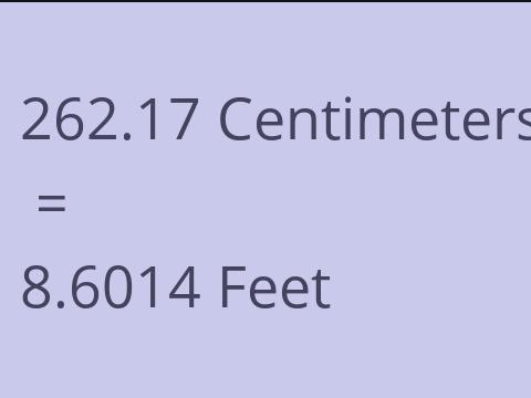 262.17 CM TO FEET