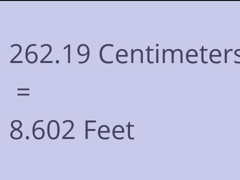 262.19 CM TO FEET