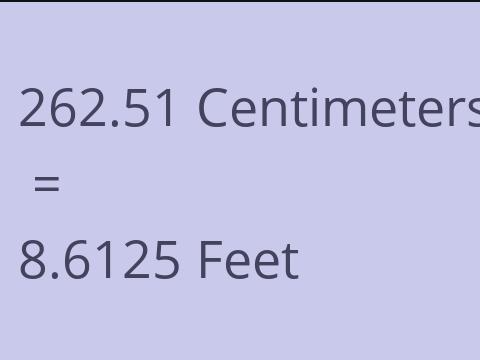 262.51 CM TO FEET