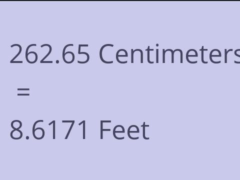 262.65 CM TO FEET