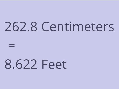 262.8 CM TO FEET