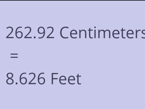 262.92 CM TO FEET