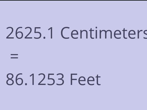 2625.1 CM TO FEET