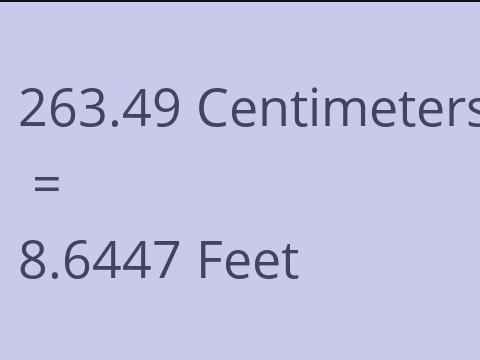 263.49 CM TO FEET