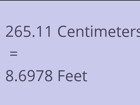 265.11 CM TO FEET