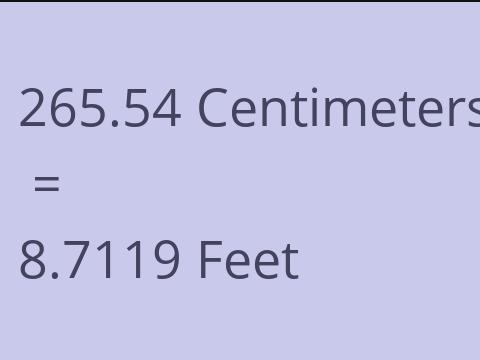 265.54 CM TO FEET