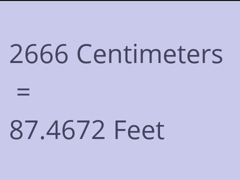 2666 CM TO FEET