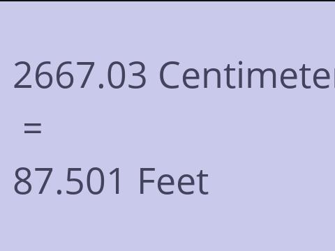 2667.03 CM TO FEET
