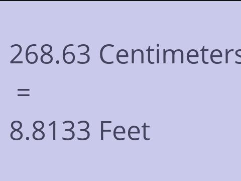 268.63 CM TO FEET