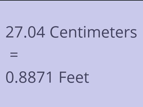 27.04 CM TO FEET