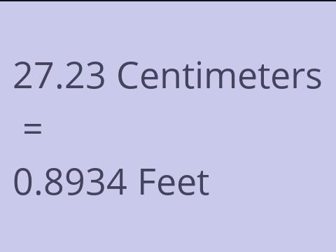 27.23 CM TO FEET