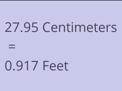 27.95 CM TO FEET