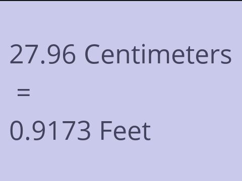 27.96 CM TO FEET