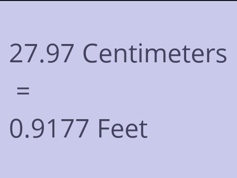 27.97 CM TO FEET