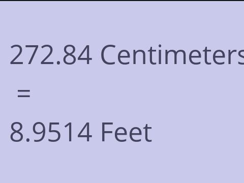 272.84 CM TO FEET