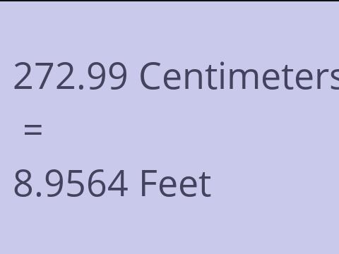 272.99 CM TO FEET