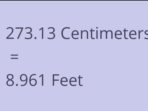 273.13 CM TO FEET