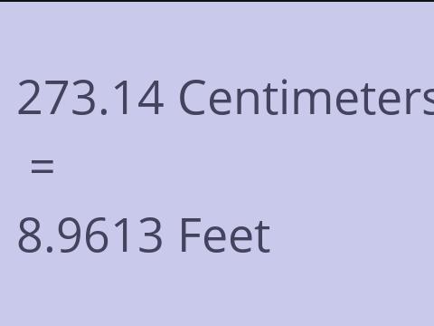 273.14 CM TO FEET