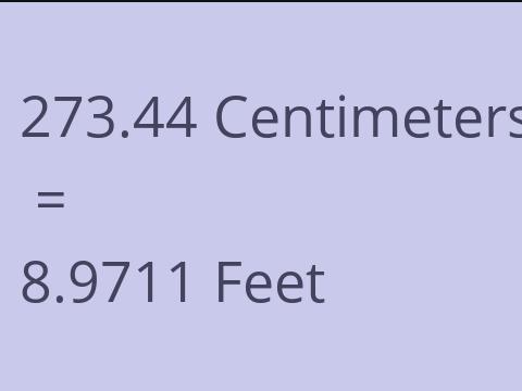 273.44 CM TO FEET