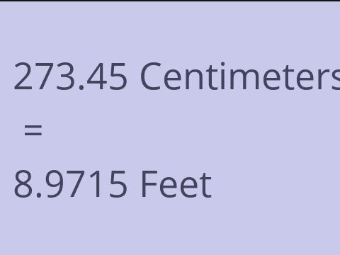 273.45 CM TO FEET