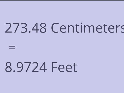 273.48 CM TO FEET