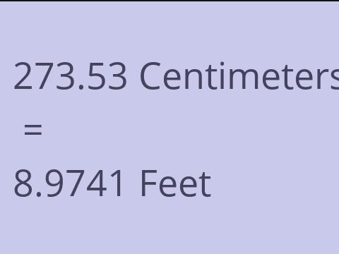 273.53 CM TO FEET