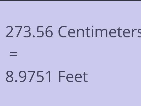 273.56 CM TO FEET