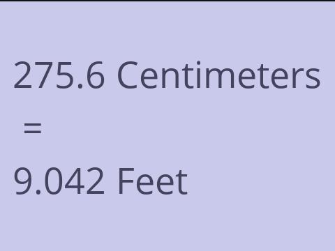 275.6 CM TO FEET