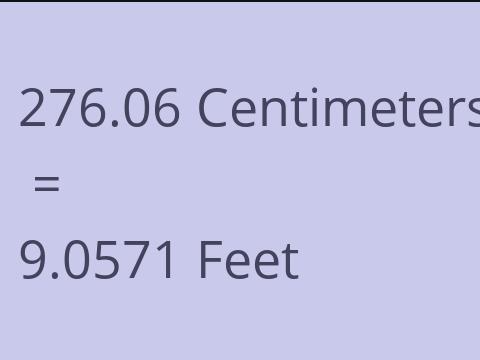 276.06 CM TO FEET