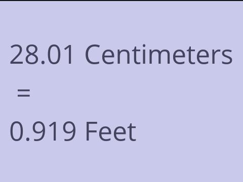 28.01 CM TO FEET