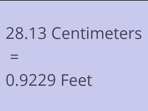 28.13 CM TO FEET