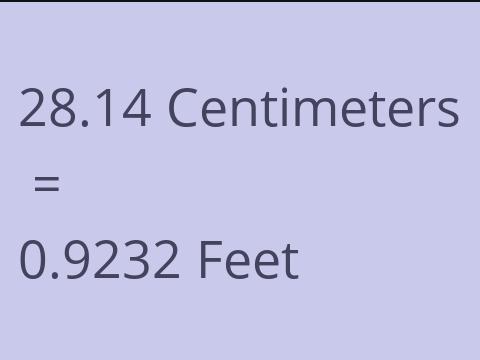 28.14 CM TO FEET