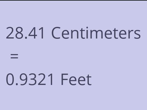 28.41 CM TO FEET