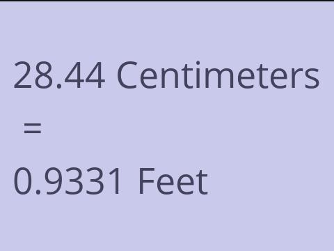 28.44 CM TO FEET