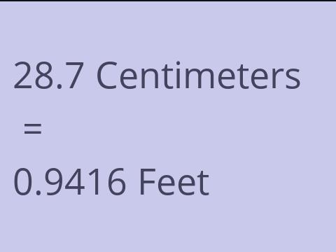 28.7 CM TO FEET