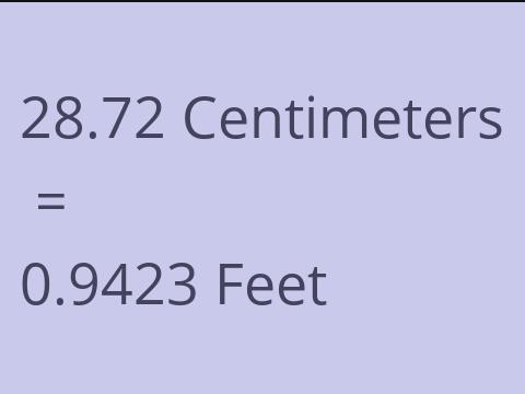 28.72 CM TO FEET