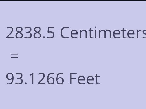 2838.5 CM TO FEET