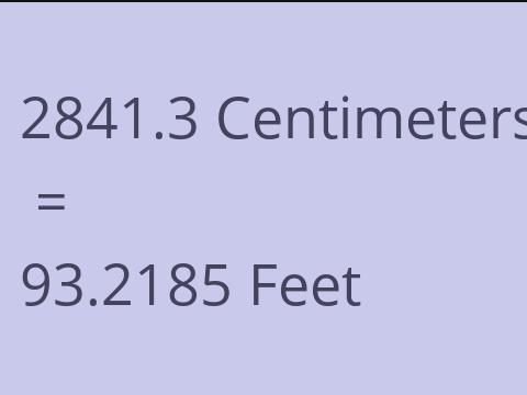 2841.3 CM TO FEET