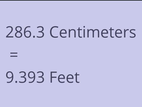 286.3 CM TO FEET