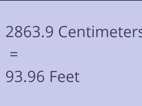 2863.9 CM TO FEET