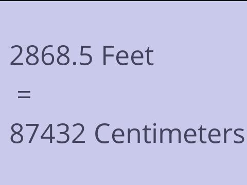 2868.5 FEET TO CM