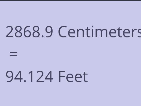 2868.9 CM TO FEET