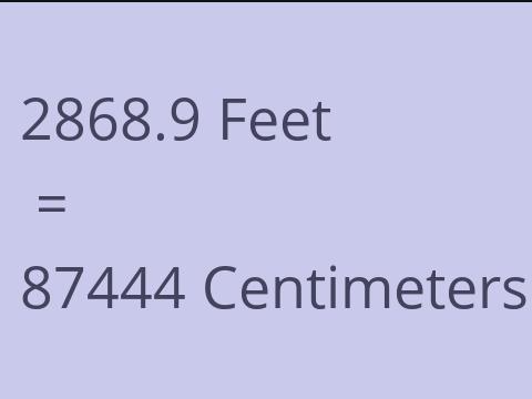 2868.9 FEET TO CM